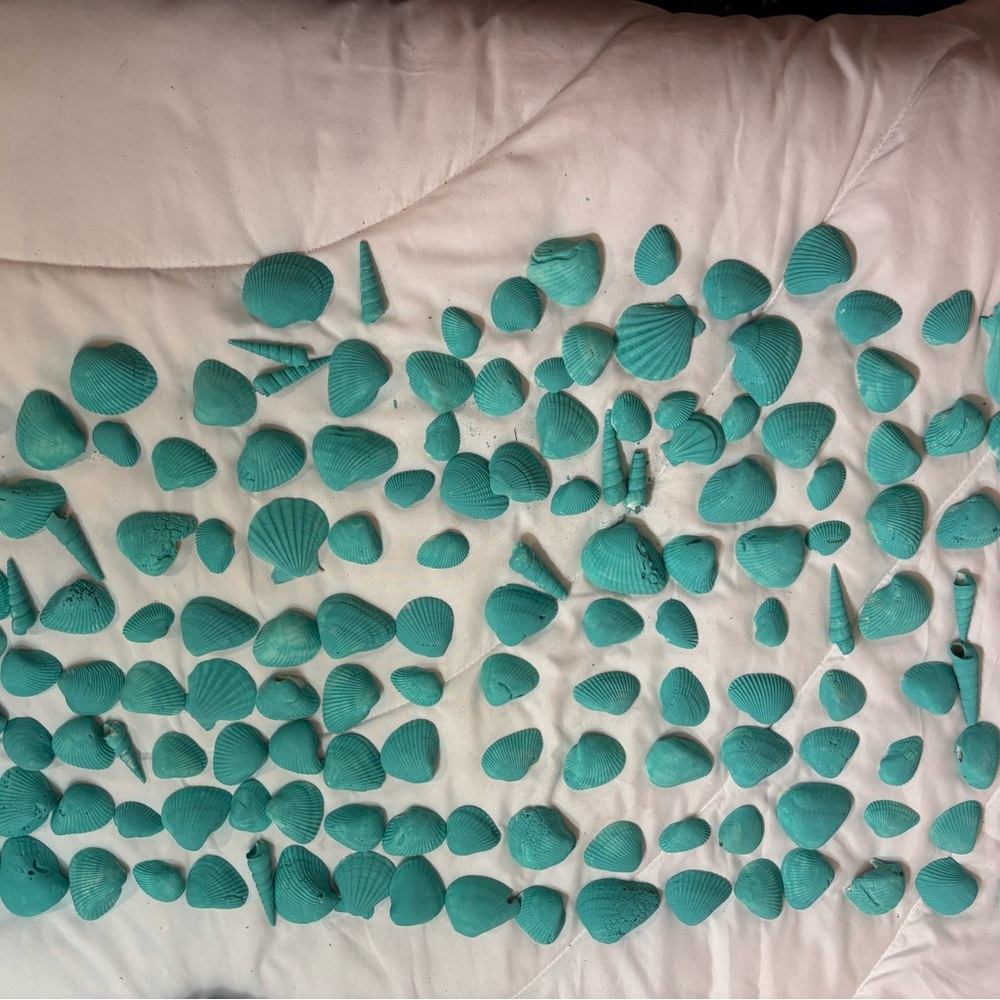 161 Aqua Teal Painted Real Seashells For Decorating Or Center Pieces